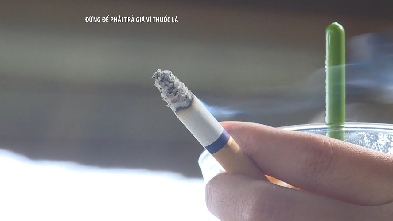 Phóng sự: Đừng để phải trả giá vì thuốc lá