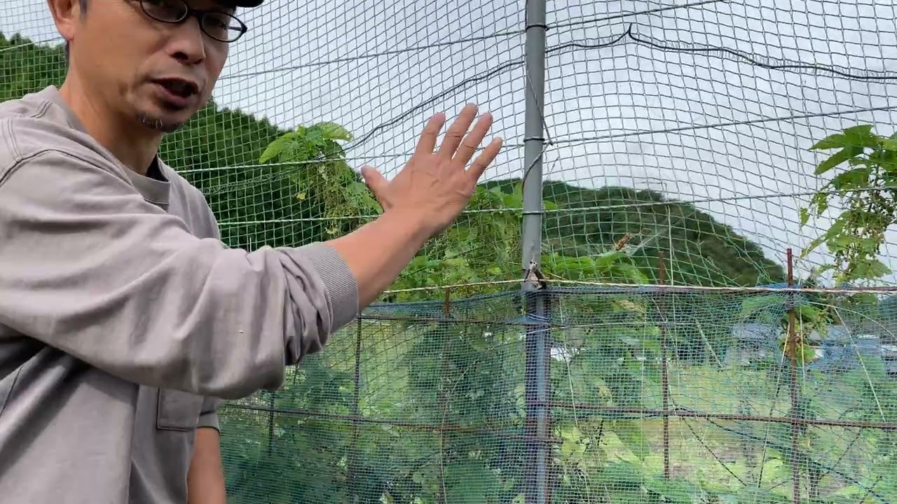 獣害対策　複合柵　イノシシ・シカ・サル・ハクビシンを防ぐ　関塚農場（栃木県佐野市）