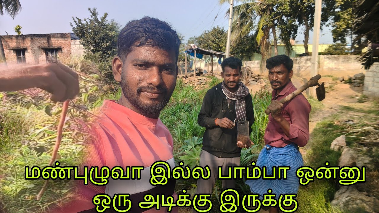 மண்புழு இந்தமாதிரி நான் பாத்ததே இல்ல டா samy🙏