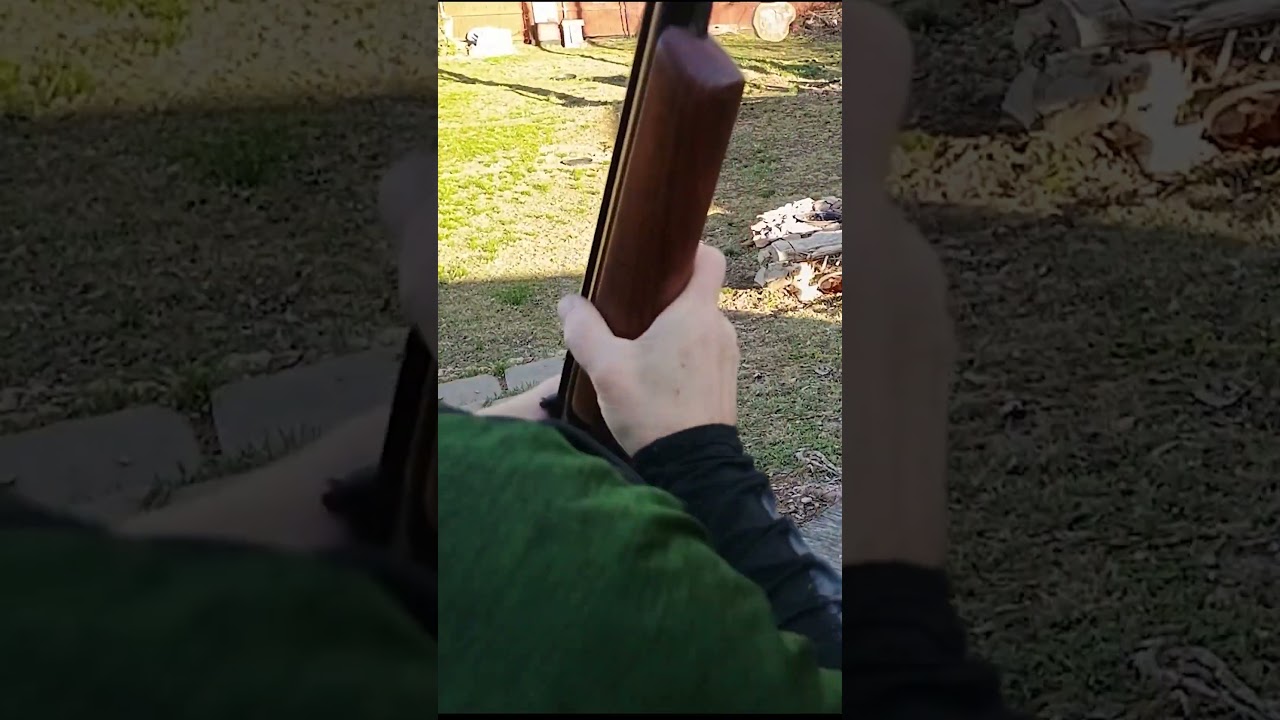 Benjamin Sheridan airgun plinking with Daisy Pointed pellets