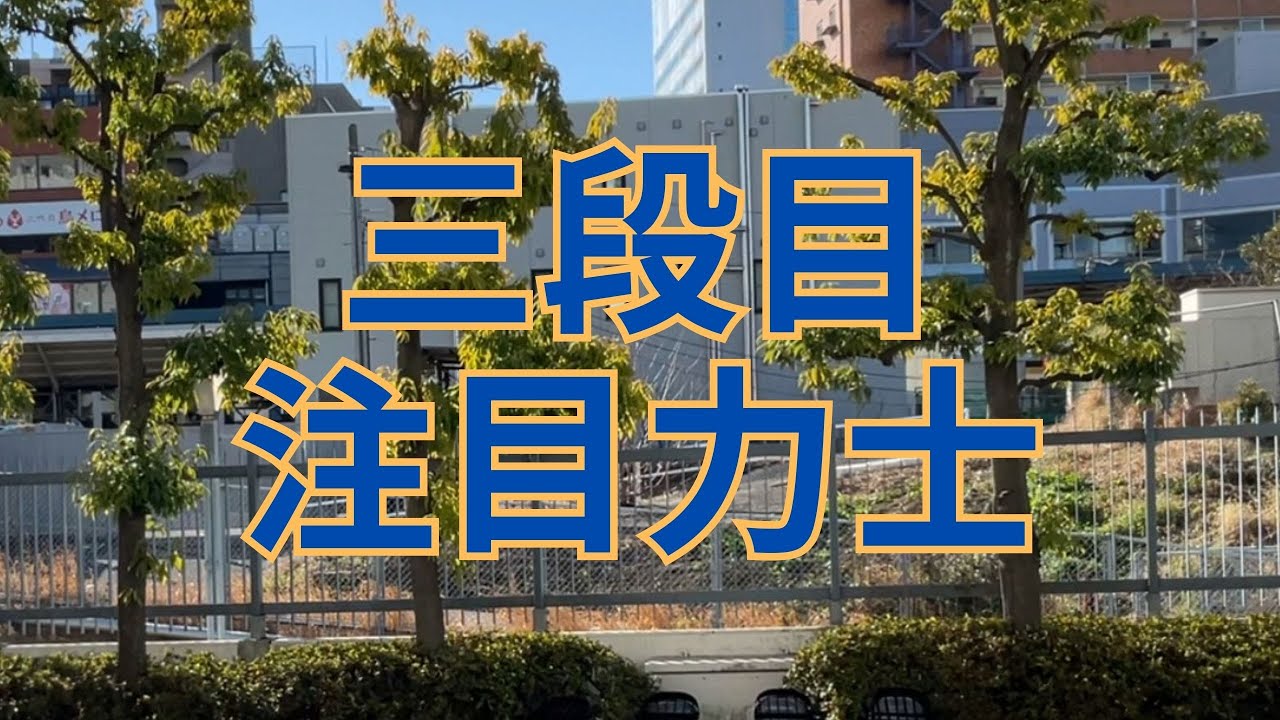 生田目は三段目は余裕か？質問への回答と三段目の主な実力者たち #相撲 #sumo