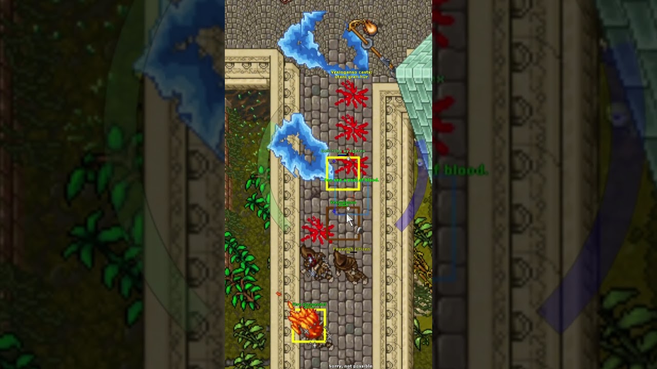 TIBIA PK - DESTRUINDO SONHOS EM SERDEBRA 2025