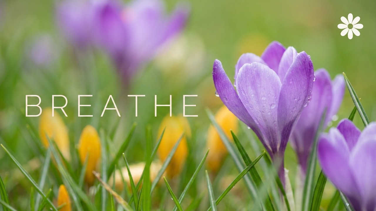 Breathe In Hope | 10-Minute Guided Meditation for Calm & Clarity
