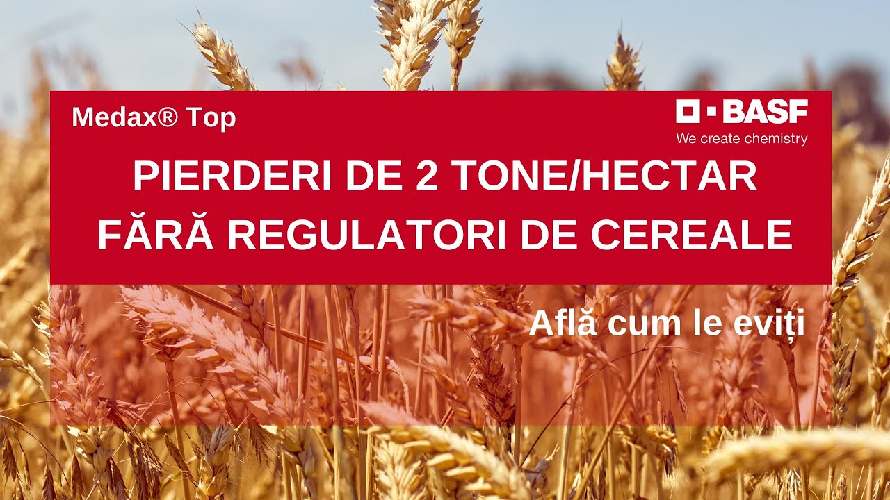Regulatori de Crestere la Grau: 4 BENEFICII Medax® Top