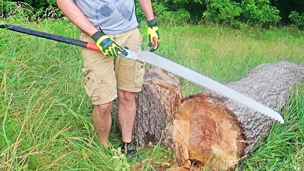 Cutting Big Logs with Worlds Largest Folding Saw