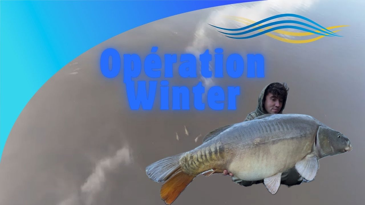 Opération Winter - Pêche de la carpe