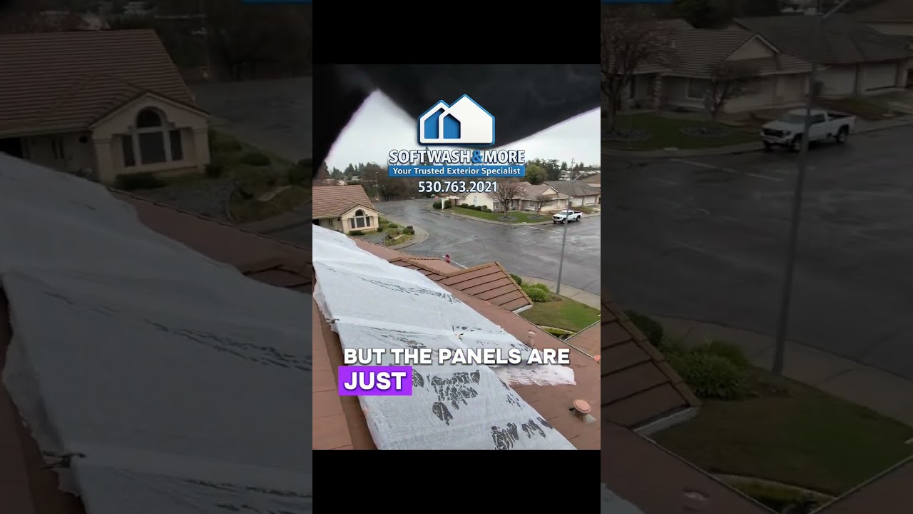Roof Washing | Yuba City, Ca | Moss Removal / Lichen Removal