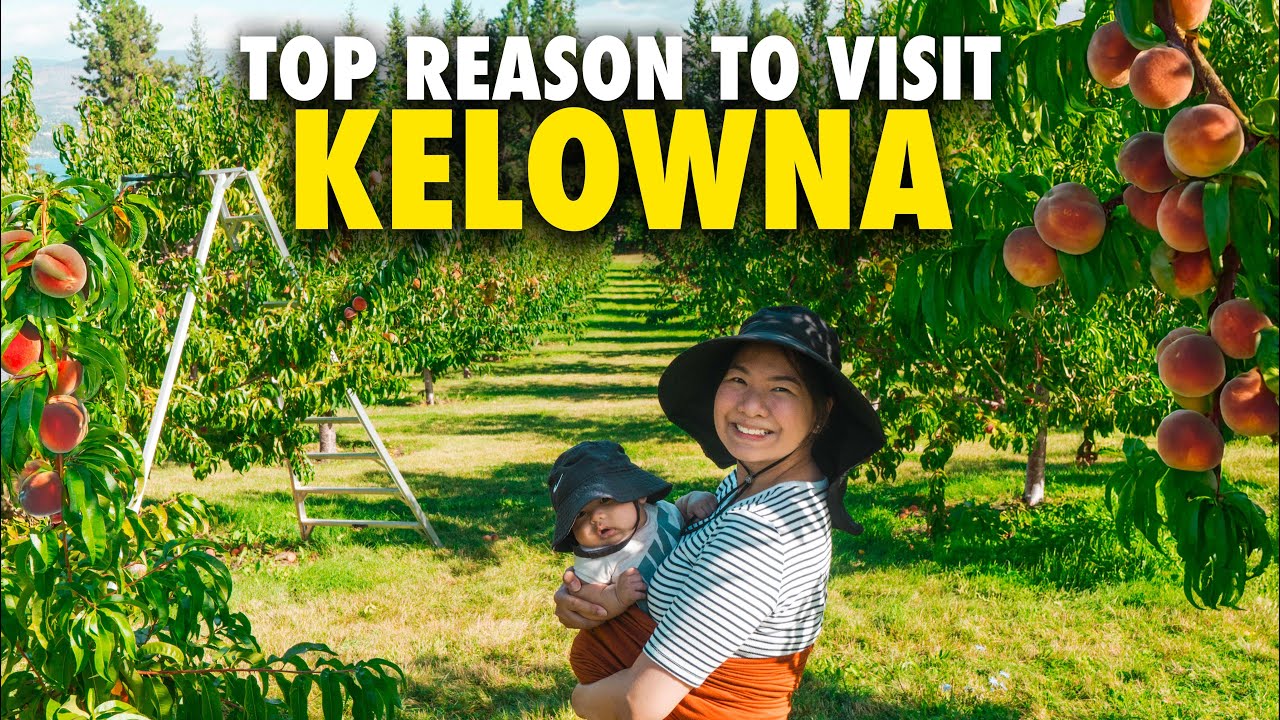 Is This Why We Fell in Love with Kelowna?