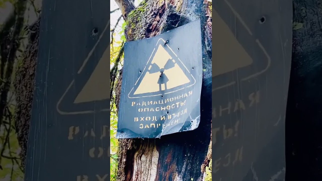 Зона отселения, Добрушский район, Гомельская область (13.10.2024)