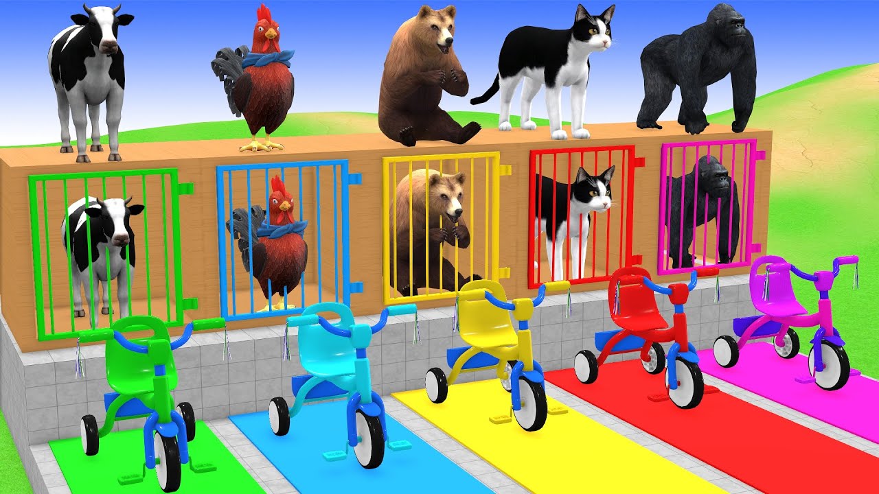 Long Slide Game with Cow Elephant Gorilla Hippopotamus Tiger 3d Animal Game Funny 3d Animals