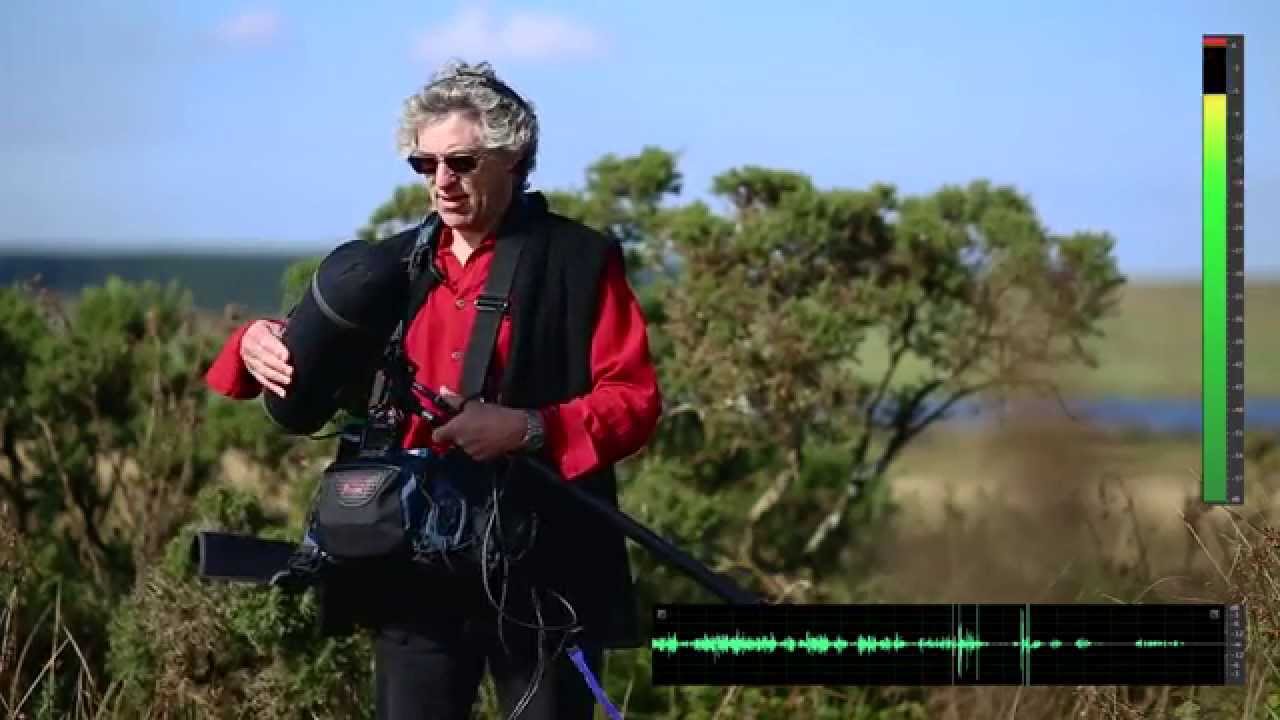 Cyclone by Rycote