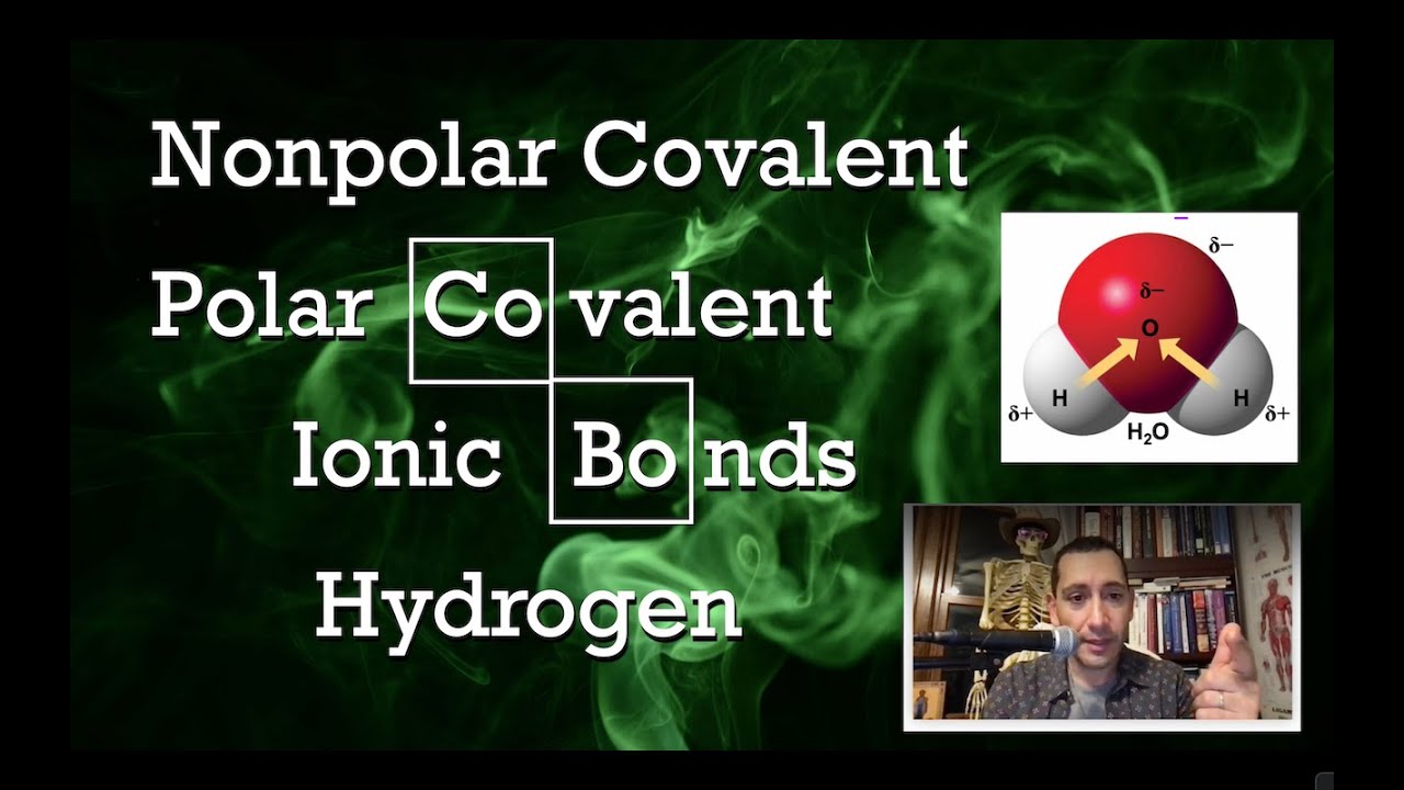 Basic Chemistry for Anatomists