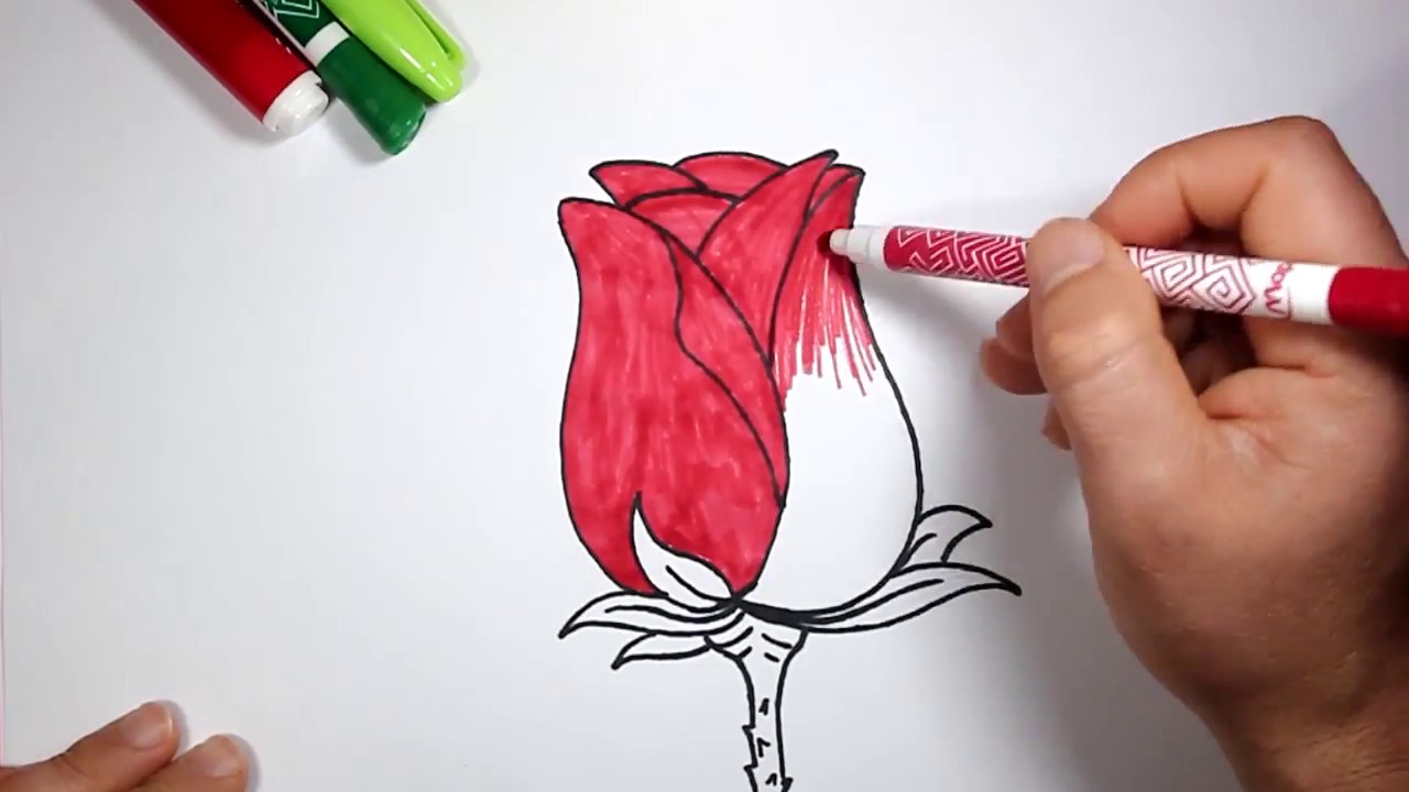 #رسم  وردة بالخطوات للمبتدئين | كيف ترسم وردة | تعلم الرسم | Drawing a flower 🌹