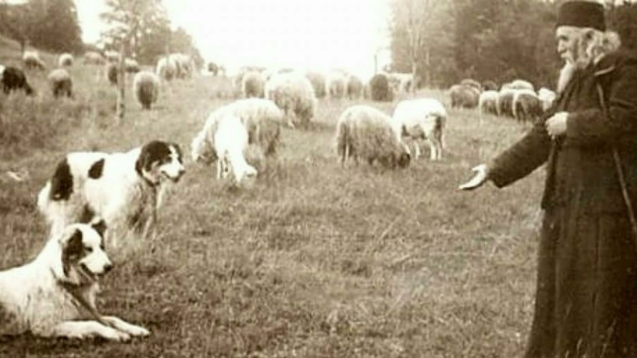 Părintele Cleopa Ilie cuvinde de folos si Despre viața călugărilor de odinioară