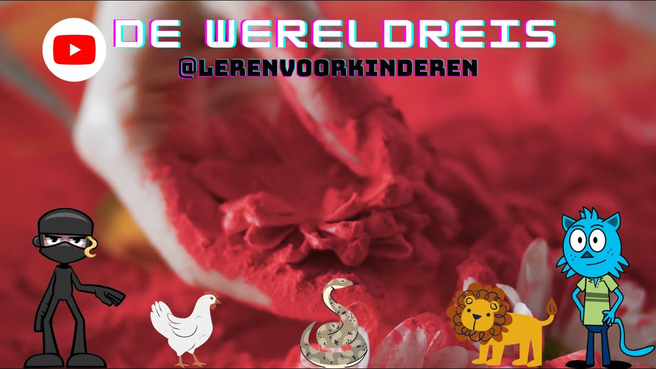 Ga je mee op wereldreis?! Steven neemt je mee naar Japan, India, Zuid Afrika, Marokko & Nederland!