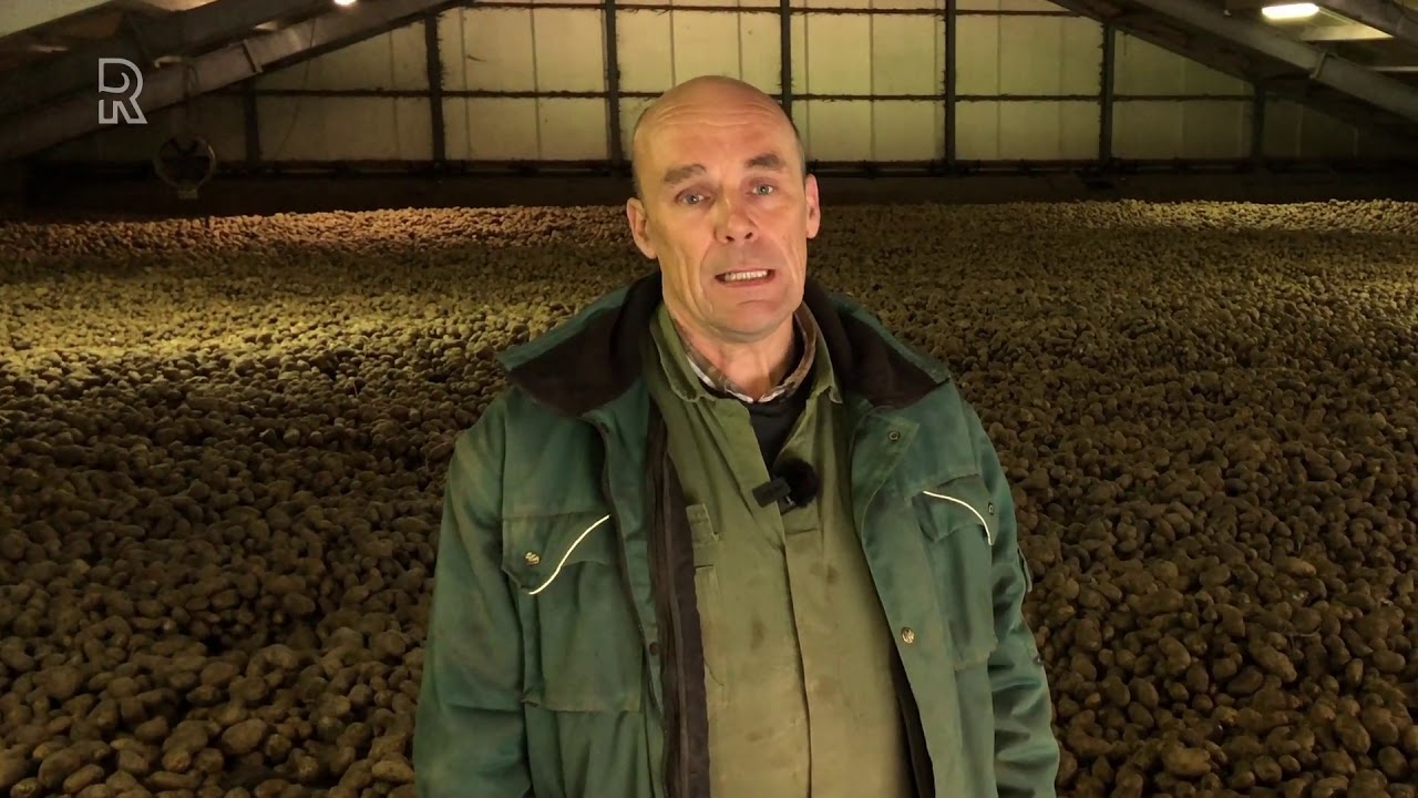 Aardappelboer Kees: 'Dit wordt een heel dik verliesjaar'