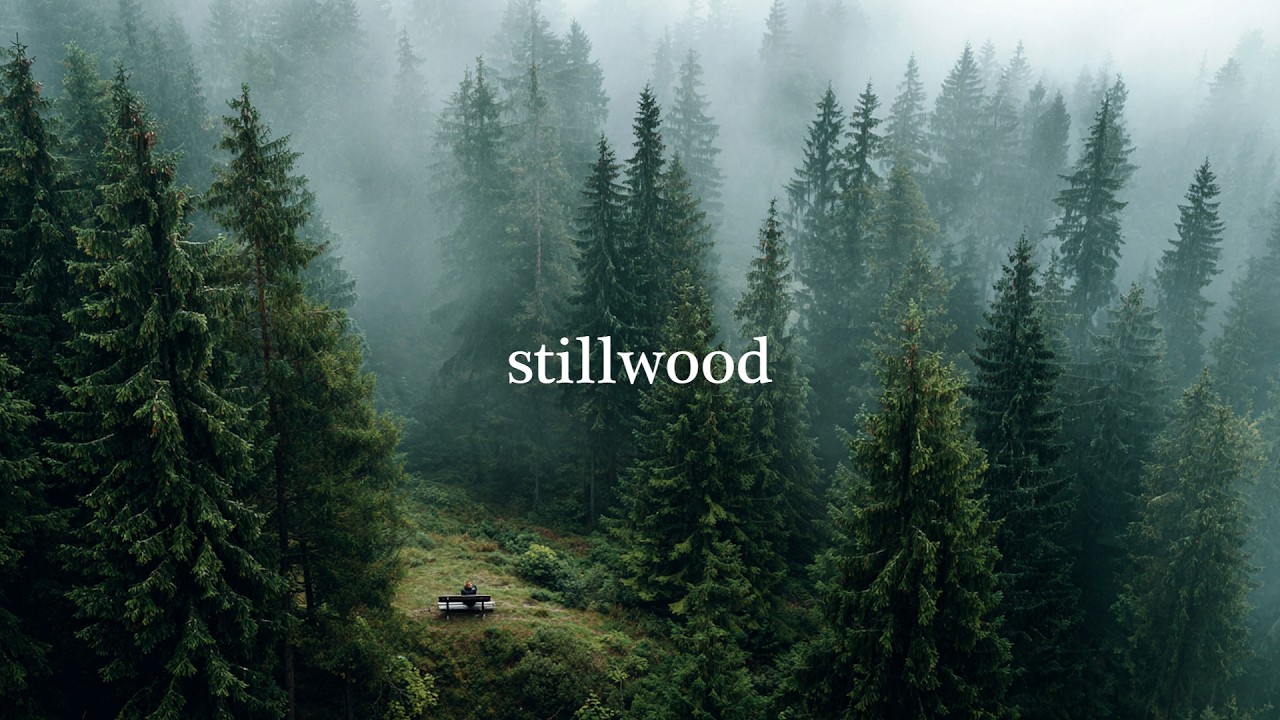 Stillwood | Introspective Jazz (Deep Thoughts)