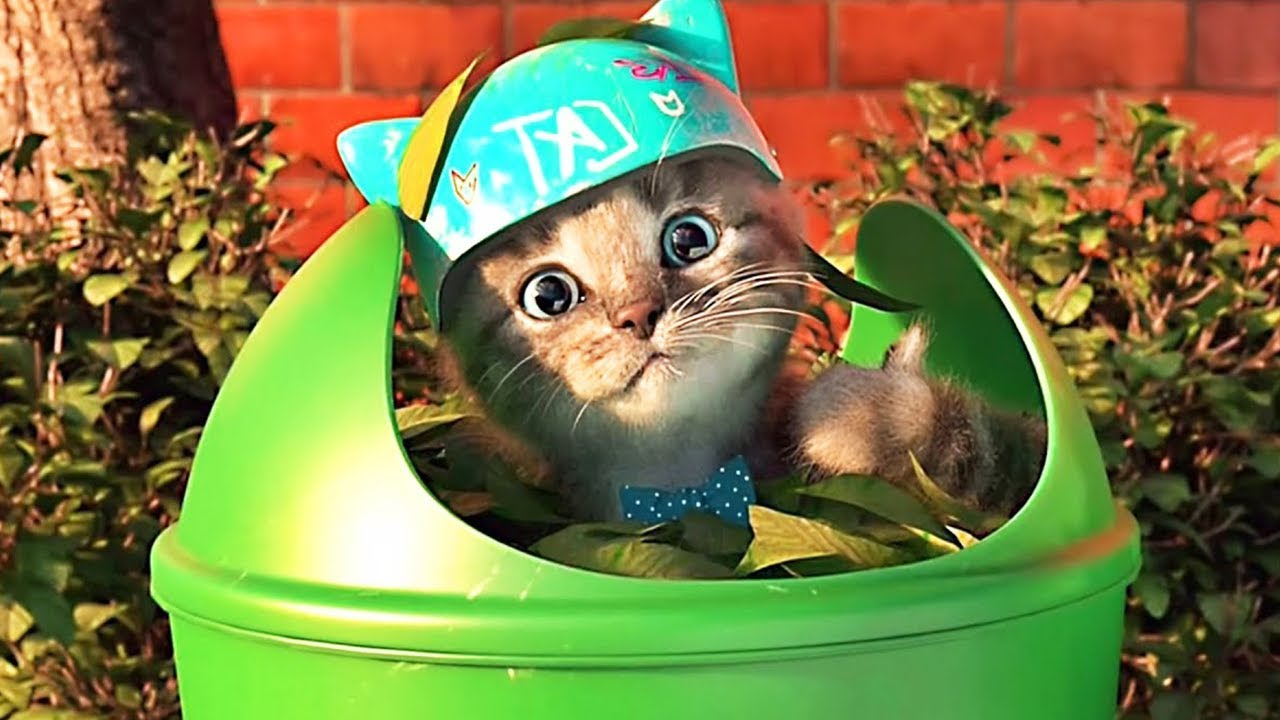 Little Kitten My Favorite Cat - Kitten Preschool Game - Play Fun Learning Games for Preschool