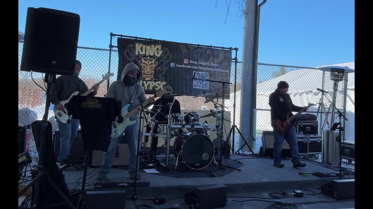 King Calypso - Fight For Your Right (To Party) - (Beastie Boys cover)