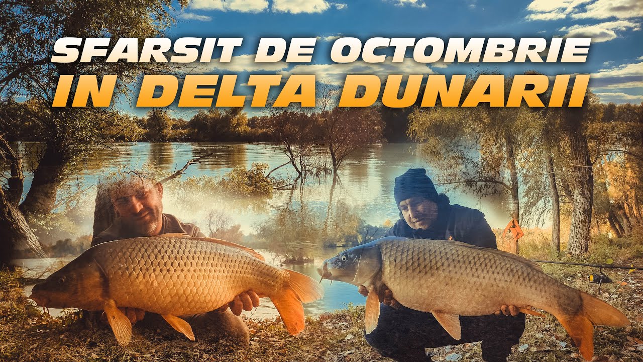 Pescuit la crap pe apa rece - Sfarsit de Octombrie in Delta Dunarii