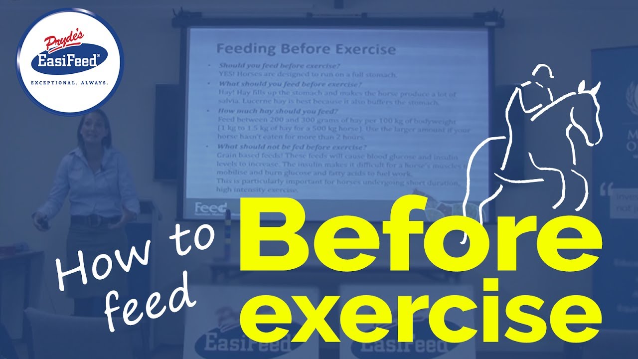 How to feed your horse before exercise