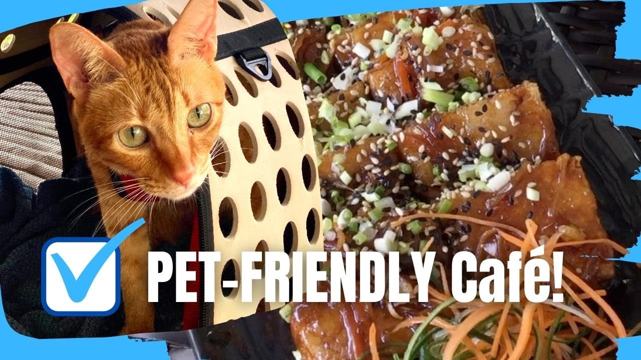 Kaffé Uno: Pet-Friendly Cafe in Pampanga, Philippines #petfriendly