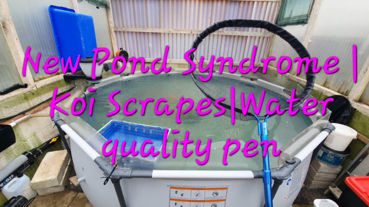 Dealing with New Pond Syndrome