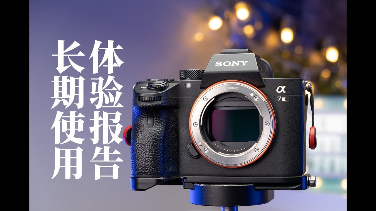 Sony A7III 长期使用报告 + 彩蜂摄影图像配置文件设定分享 以及【五大缺陷 爽点和镜头解决方案】