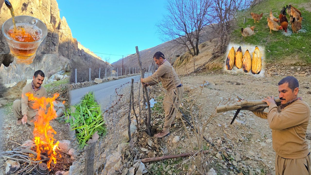 Nomadic Hands of Iran | Traditional Garden Fence Making in Tribal Life