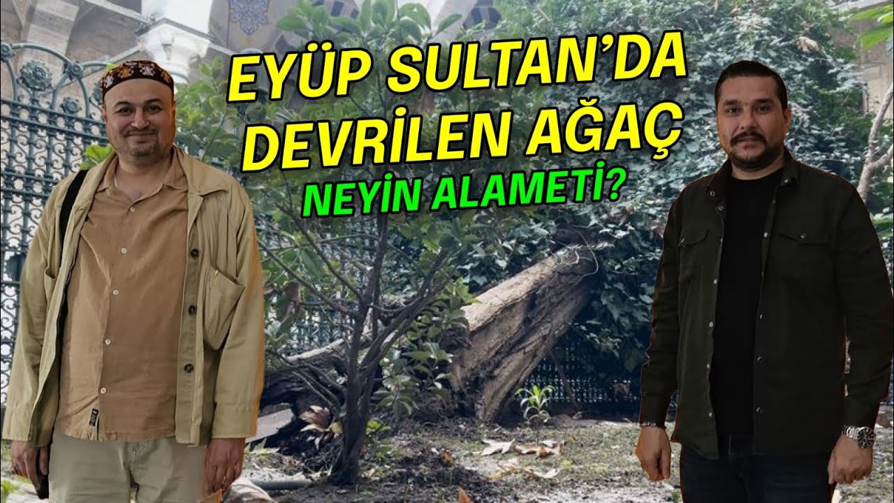 Eyüp Sultan'daki Ağacın Devrilmesi Neyin Alameti? Metafizik İstihbarat Ne Diyor?