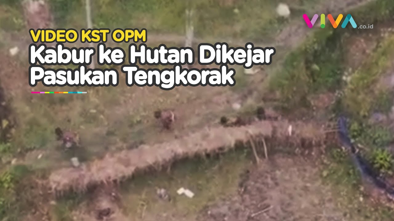 Digempur Pasukan Tengkorak, OPM Terbirit-birit Masuk Hutan