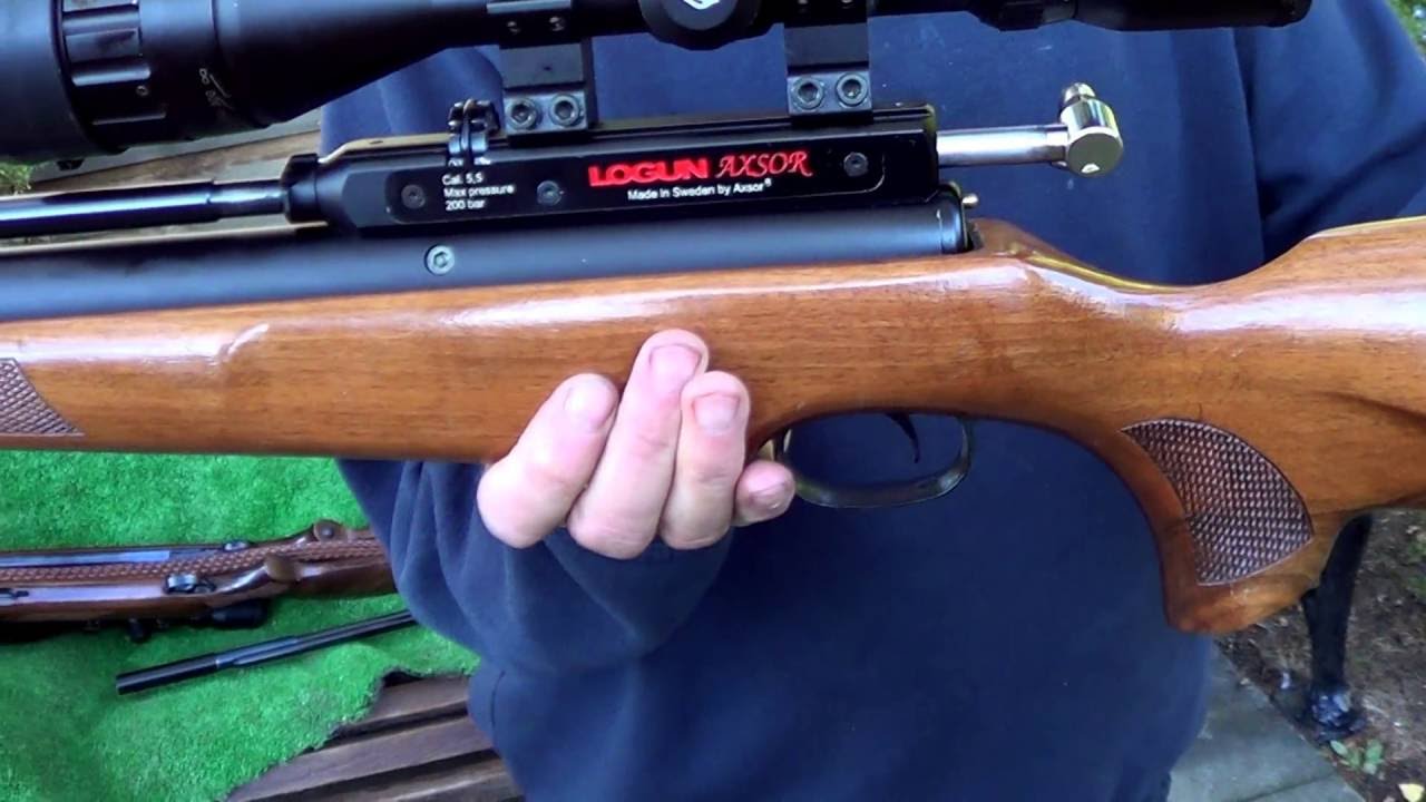 LOGUN AXSOR , air rifle review