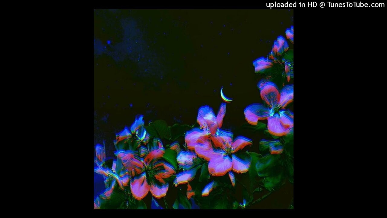 [FREE] Ambient Trap + Experimental Type Beat 