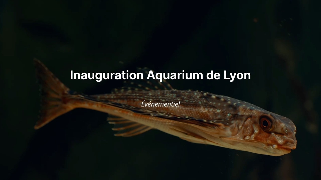 Inauguration Aquarium de Lyon - Retour en images
