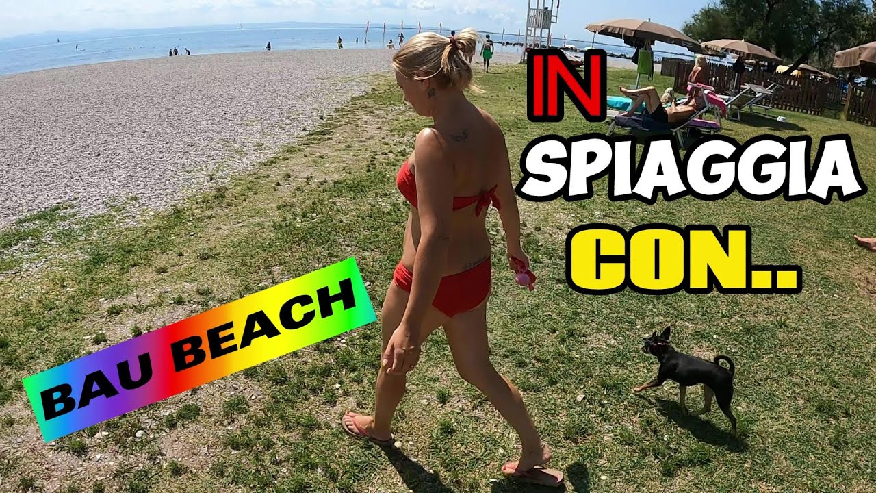 Camper e cane al mare in libera: Friuli in camper