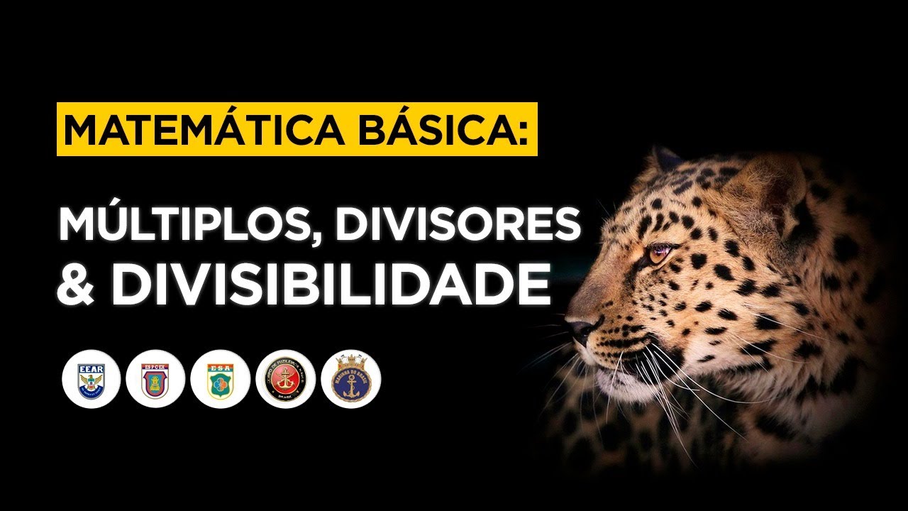 MATEMÁTICA BÁSICA - AULA 04 ( MÚLTIPLOS, DIVISORES E DIVISIBILIDADE)