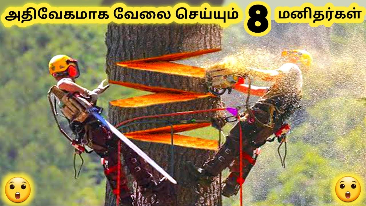 வேகமாக வேலை செய்பவர்கள் || Eight Fastest Workers in the World || Tamil Info News