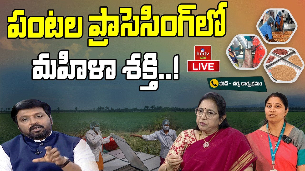Live : ప్రాసెసింగ్‌లోమహిళా శక్తి.. లైవ్ చర్చా కార్యక్రమం | Agriculture | hmtv Agri