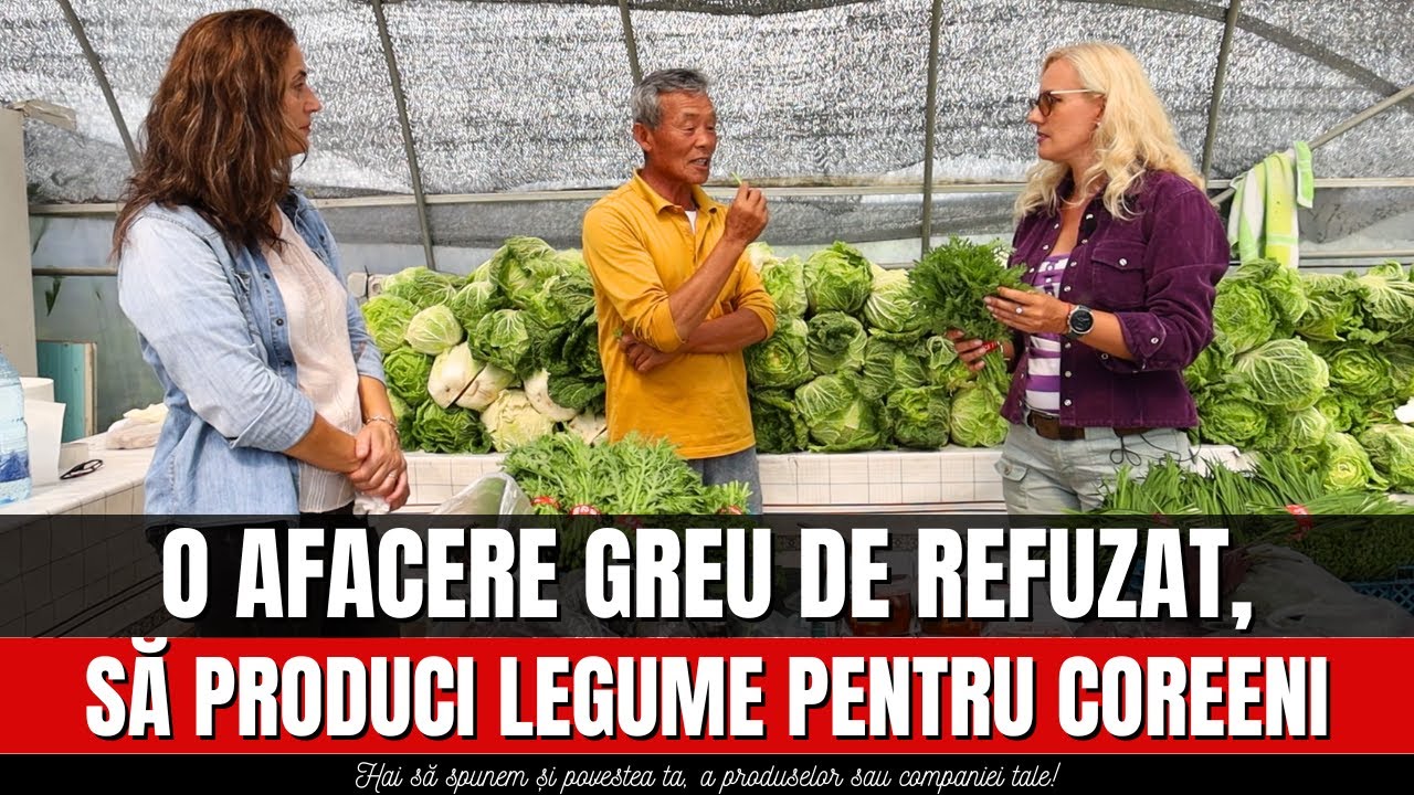 O afacere greu de refuzat, să produci legume pentru coreeni / România Văzută Din Tractor