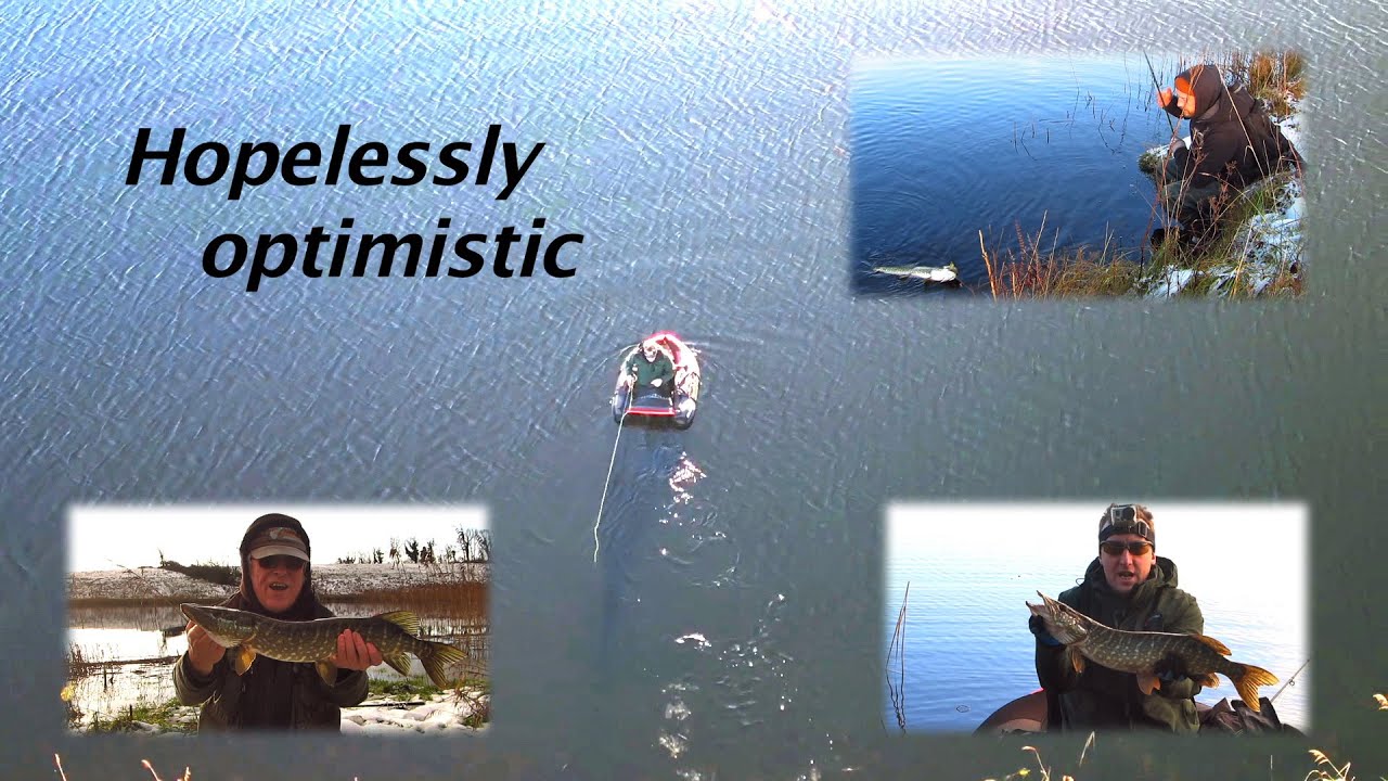 Hopelessly optimistic