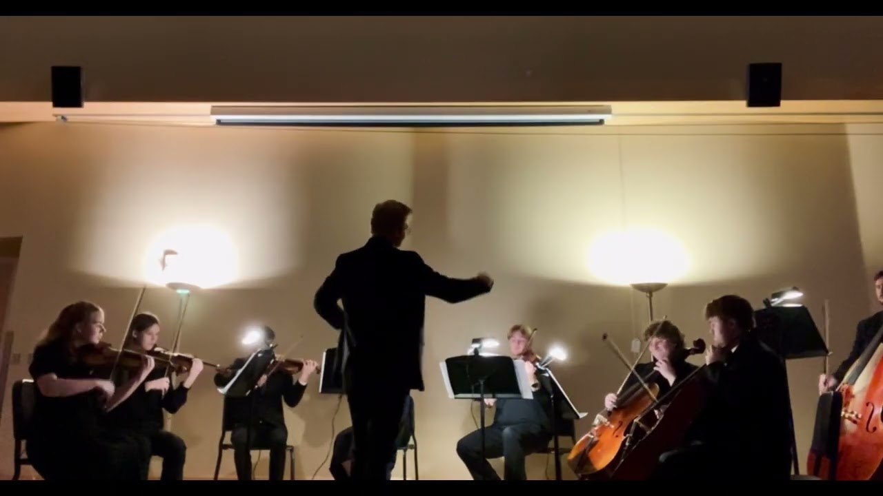 Serenade for Strings (Live)