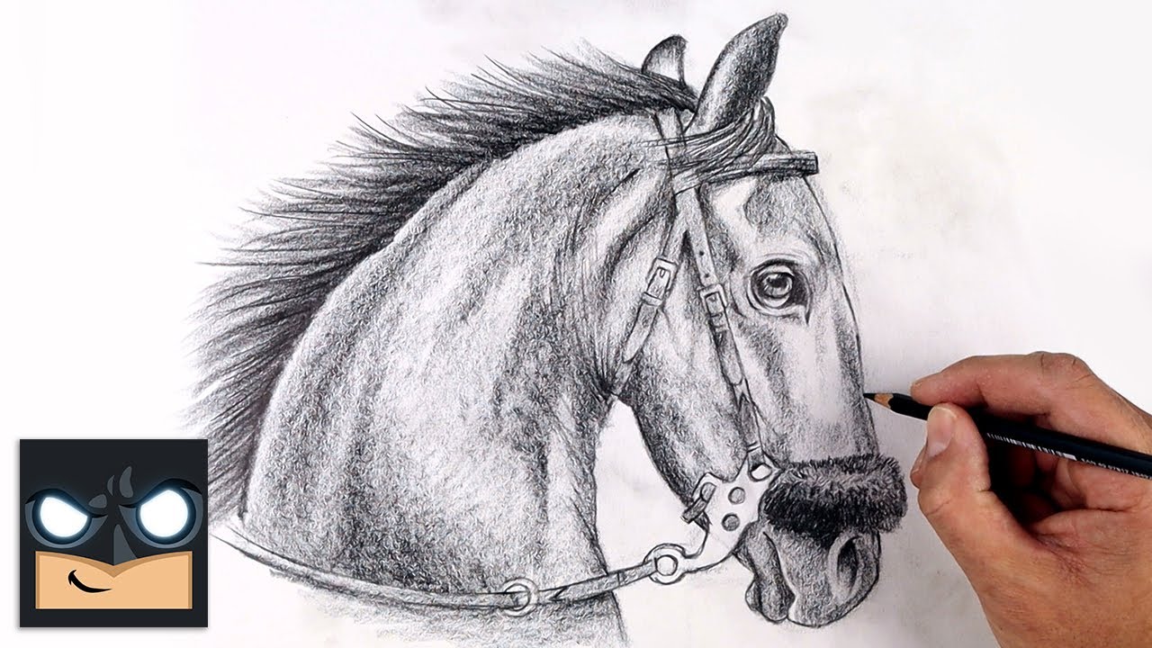 How To Draw a Horse | Beginner Pencil Sketch Tutorial (Step-by-Step)