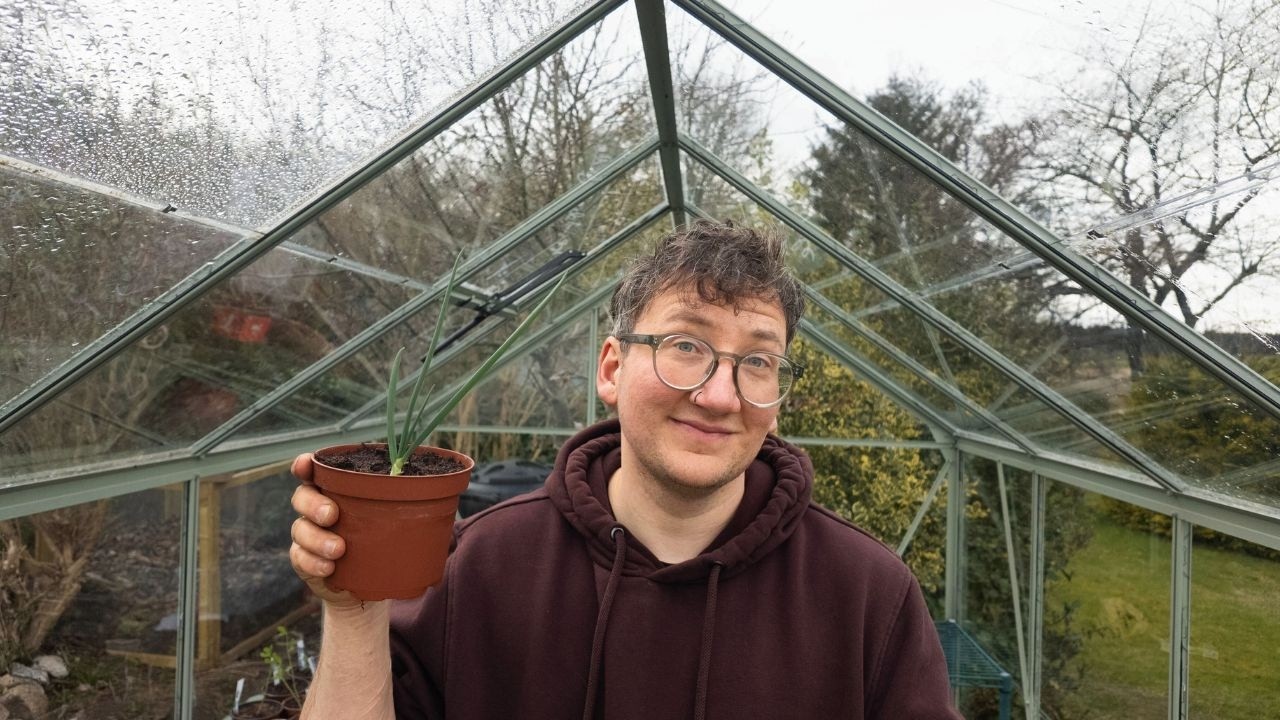 Setting Up My Backyard Homestead