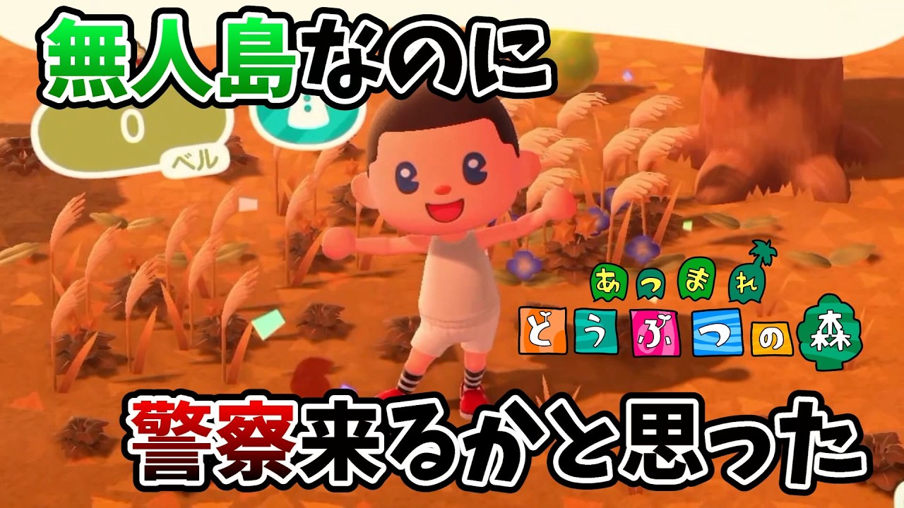 【かえるのうた】あつ森初日に歌枠しました【あつまれ どうぶつの森/Part2】