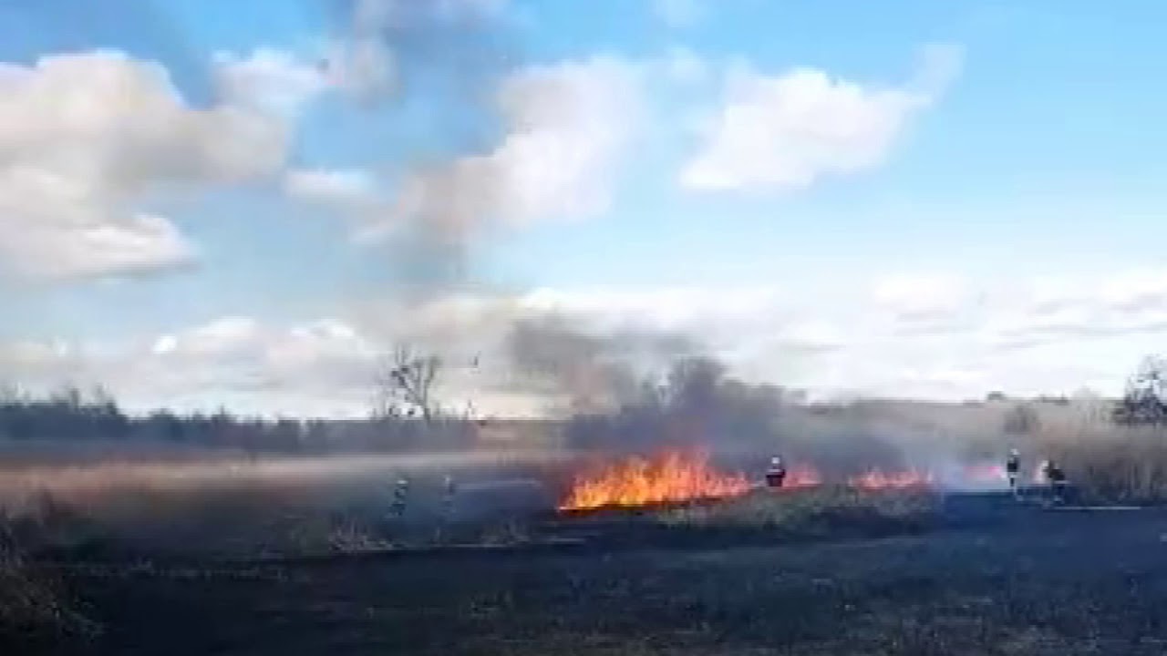 N&aacute;das &eacute;gett Csepreg k&ouml;zel&eacute;ben