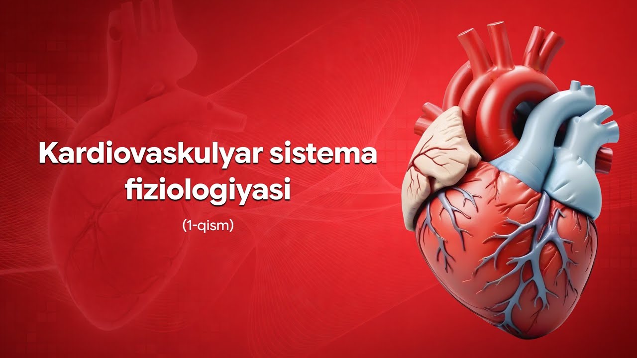 Kardiovaskular sistema fiziologiyasi (1-qism)