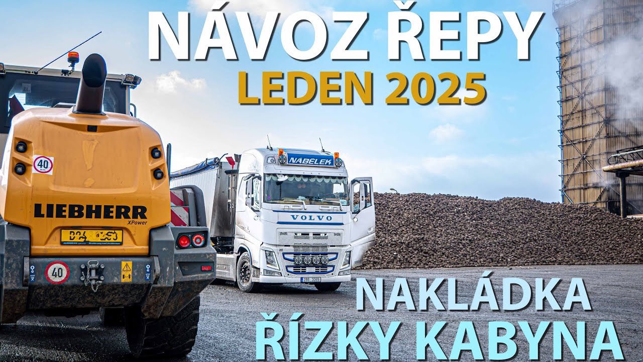 Návoz řepy cukrovar Litovel | Nakládka řízků z kabiny | Leden 2025 | Liebherr MAN Scania Volvo