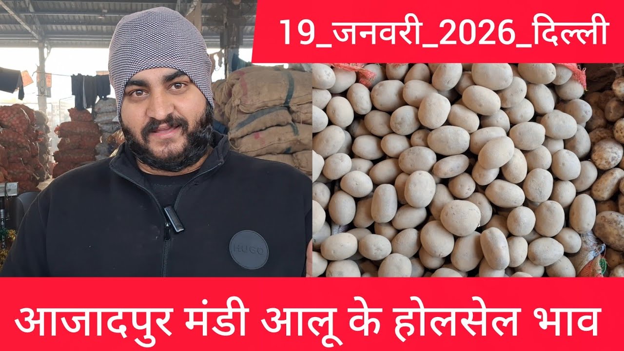 January 19, 2026 दिल्ली 🥔आलू के भाव Azadpur Delhi mandi today #PotatoMarket #delhipotatomarket 