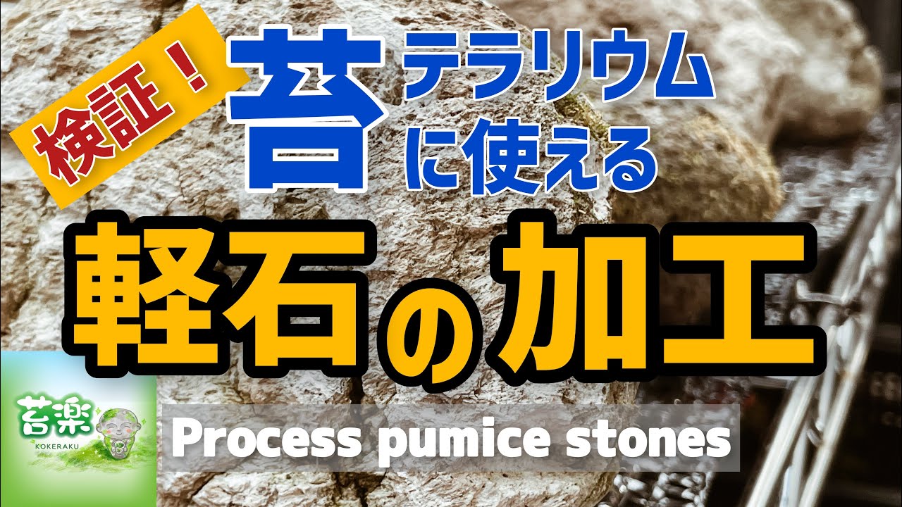 検証！軽石を加工してみた【苔テラリウム制作動画】