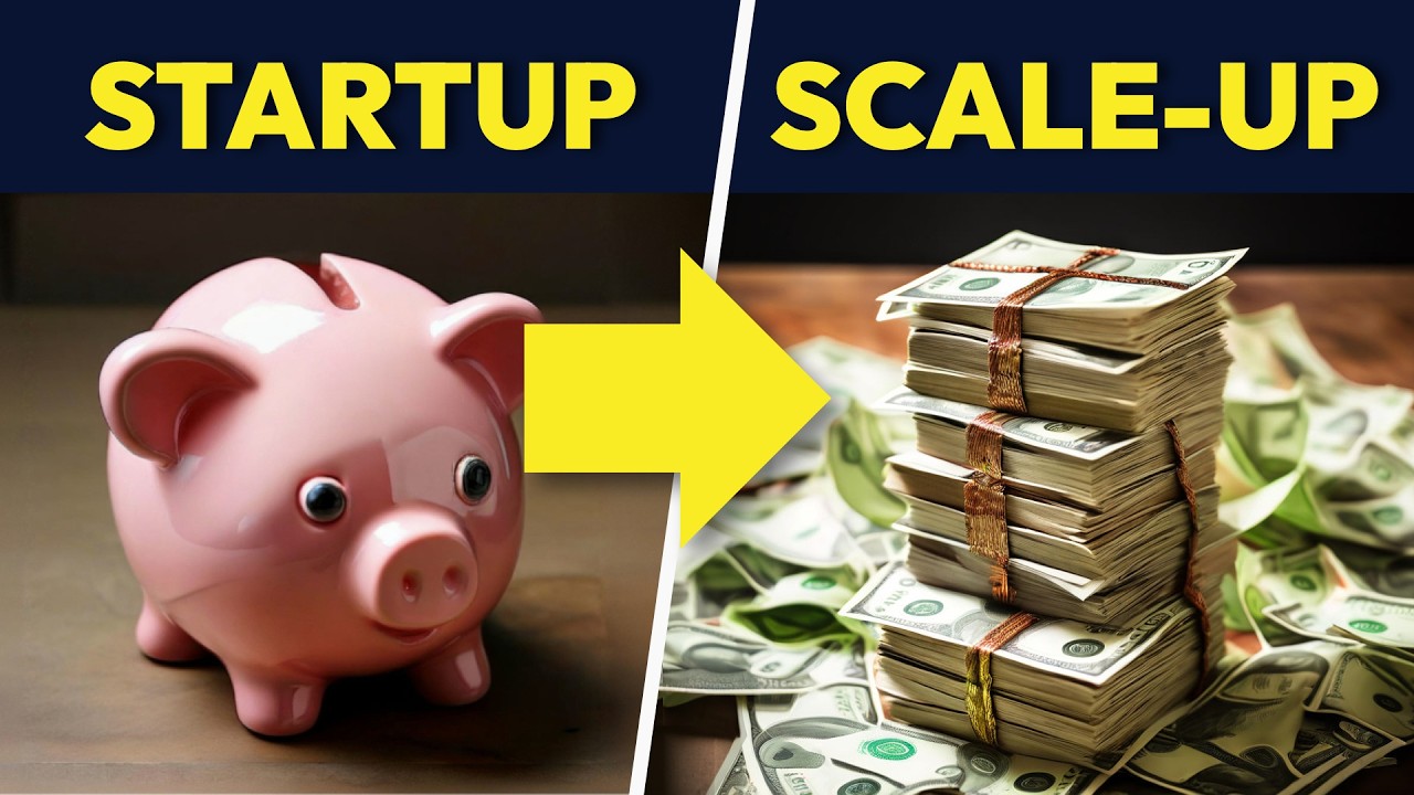 Startup vs Scale-Up Differences: Key Growth Strategies for Scaling